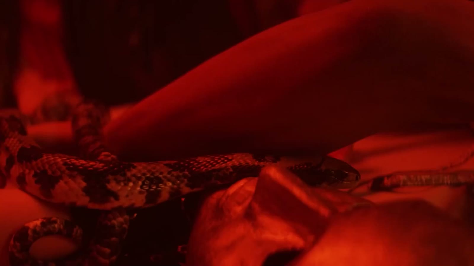 Still from Instinct